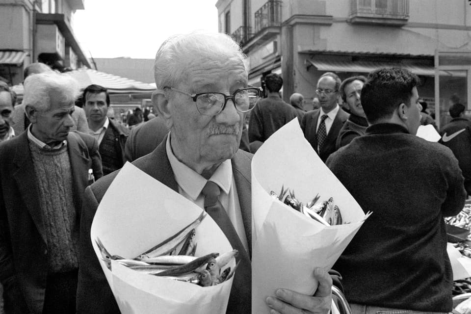 Il Signore delle alici