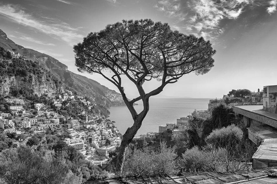 Positano Pino 